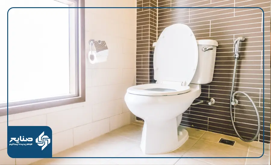 چرا تمیز کردن توالت فرنگی اهمیت دارد؟